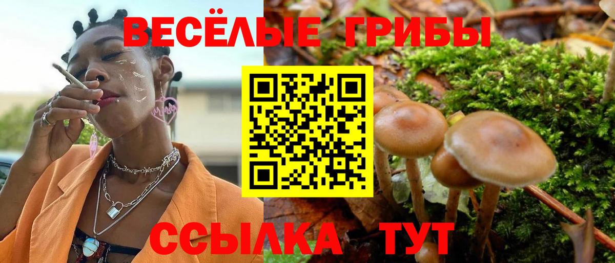 Псилоцибиновые грибы ЛСД Невинномысск